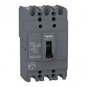 Автомат EZC100B3025 Schneider Electric