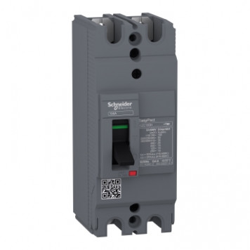 Автомат EZC100H3100 Schneider Electric