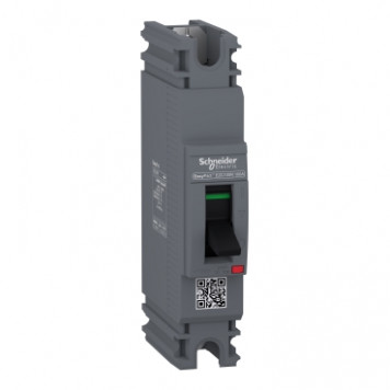 Автомат EZC100N1015 Schneider Electric